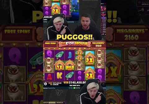 DOG HOUSE MEGAWAYS GIVES WILDS EVERYWHERE! HUGE INSANE WIN! #slots #casino #bigwin