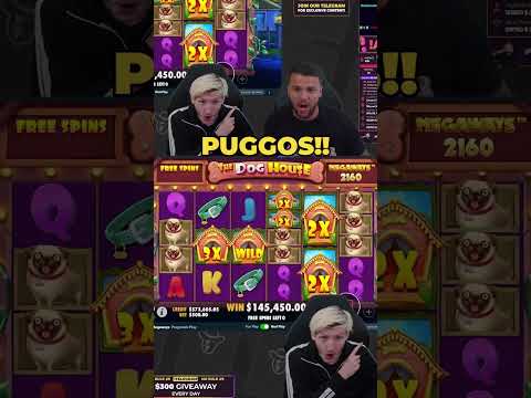 DOG HOUSE MEGAWAYS GIVES WILDS EVERYWHERE! HUGE INSANE WIN! #slots #casino #bigwin