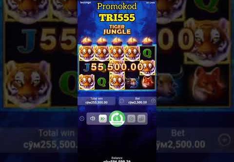 Tiger Jungli Mega Win boongo slot