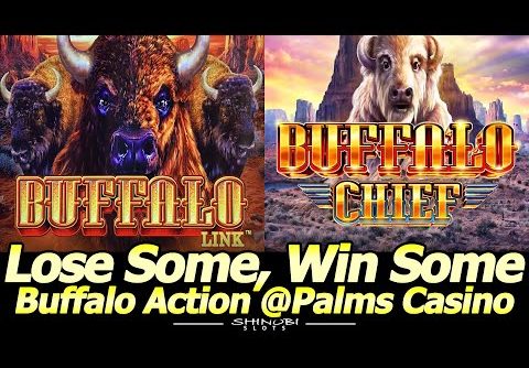 Buffalo Link and Buffalo Chief slot action at Palms Casino in Las Vegas.  Lose Some…Win Some!