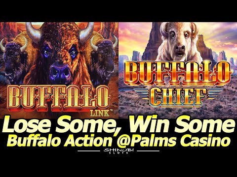 Buffalo Link and Buffalo Chief slot action at Palms Casino in Las Vegas.  Lose Some…Win Some!