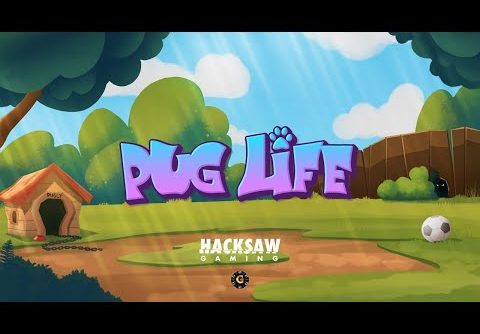 Mega Bonus Win on Pug Life Slot by #hacksawgaming 11-11-22