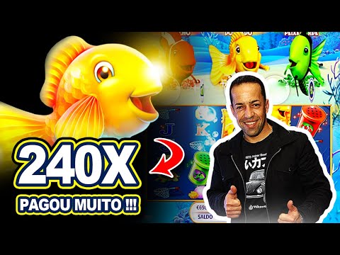 FORREI O MUNDO BIG WIN 240 X SLOT GOLD FISH