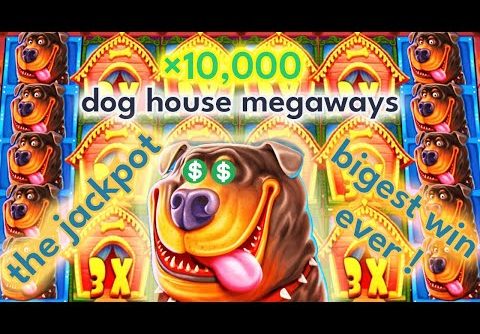 I Won in Dog House Megaways Slot the Biggest Win! [x10,000 Jackpot]