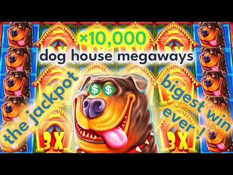 I Won in Dog House Megaways Slot the Biggest Win! [x10,000 Jackpot]