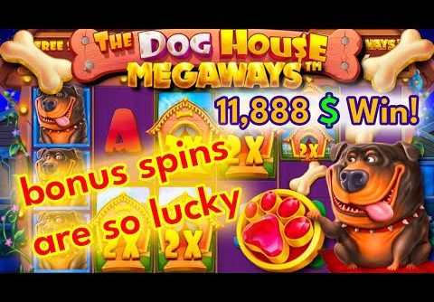 Biggest win Dog House Megaways Game Record Win From The Bonus!