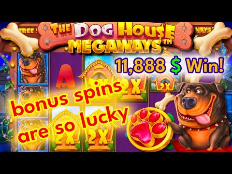 Biggest win Dog House Megaways Game Record Win From The Bonus!