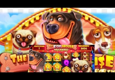 The Dog House || Max Multiple In Screen || Big Win || Indian Slot 🐕🐶🐩🦮🎰🎰🎰🎰