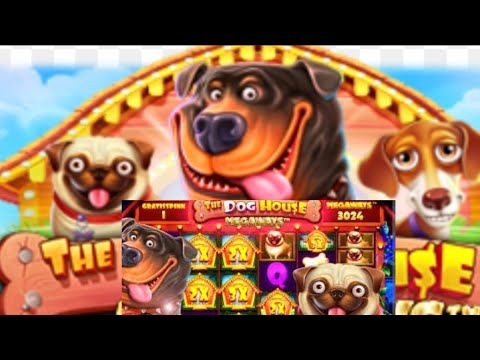 The Dog House || Max Multiple In Screen || Big Win || Indian Slot 🐕🐶🐩🦮🎰🎰🎰🎰