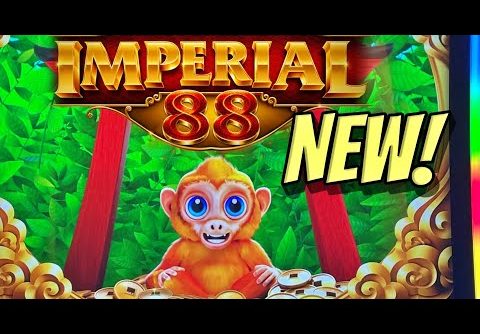 NEW SLOT: Super fun sesh on the new Monkey Legends Imperial 88 slot!