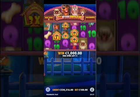 The Dog house big win #SLOT #shorts #casinoslots #casino #realmoney