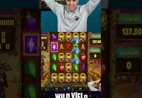 New Big Win on Wild Yield slot! Big Win of the week