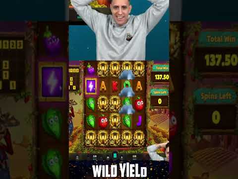 New Big Win on Wild Yield slot! Big Win of the week