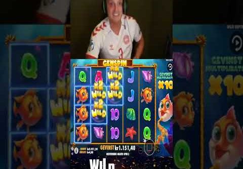 Mega Bonus Win on Wild Depths slot! Streamer casino Win