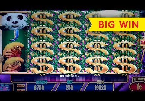 Panda Paradise Slot – BIG WIN BONUS, YEAH!!!