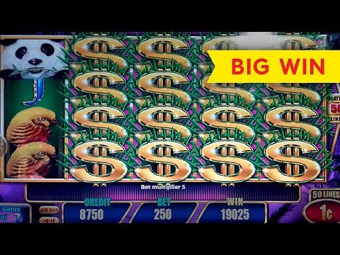 Panda Paradise Slot – BIG WIN BONUS, YEAH!!!