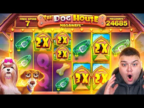 DOG HOUSE MEGAWAYS Is On The PAY MODE!! (HUGE WINS)