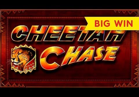 Cheetah Chase Slot – BIG WIN – GREAT Bonus!