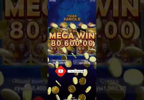 uzb TIGGER JUNGLE MEGA WIN #1win #1xbet #linebet #mostbet #melbet #slot #slotonline