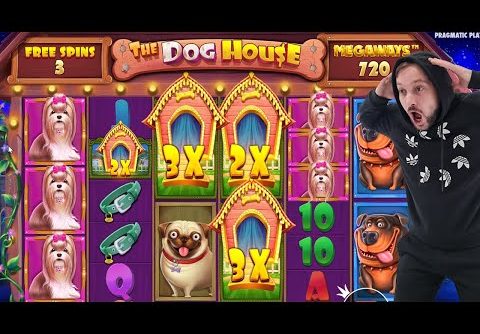 THE DOG HOUSE MEGAWAYS BONUS BUY – BIG WINS CASINO SLOT ONLINE GAME BIG MEGAWAYS