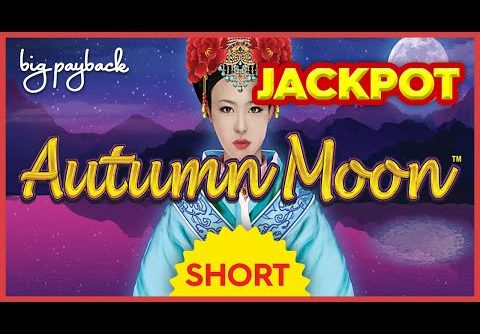 MY BIGGEST JACKPOT!! on Dragon Link Autumn Moon Slot! #Shorts