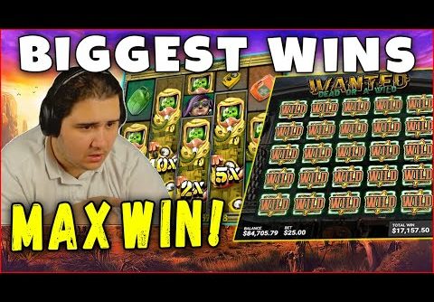 Crazy Win on Buffalo! Biggest Casino Wins from 1000X! Streamers Biggest Wins of the week