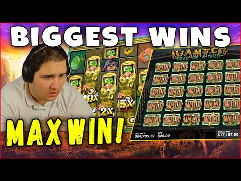 Crazy Win on Buffalo! Biggest Casino Wins from 1000X! Streamers Biggest Wins of the week
