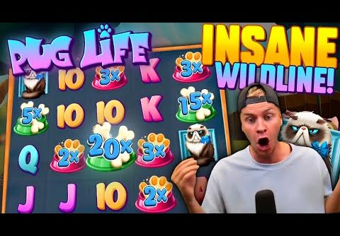 BIG WILDLINE on NEW Pug Life Slot! 🐶 (Huge Win)