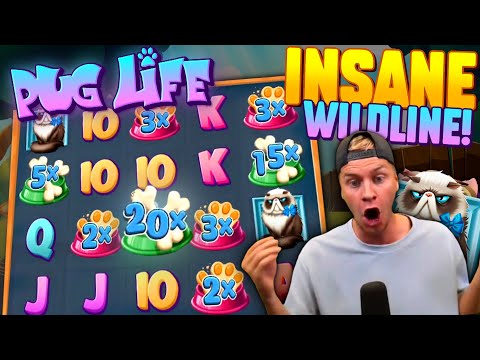 BIG WILDLINE on NEW Pug Life Slot! 🐶 (Huge Win)