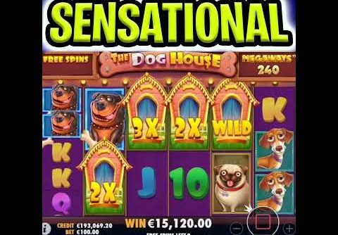 THE DOG HOUSE MEGAWAYS 😱 SLOT HUGE BIG WIN BONUS GOES CRAZY‼️ #shorts