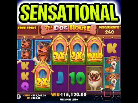 THE DOG HOUSE MEGAWAYS 😱 SLOT HUGE BIG WIN BONUS GOES CRAZY‼️ #shorts