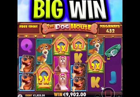 THIS IS THE BONUS U WANT 😱 THE DOG HOUSE MEGAWAYS SLOT MEGA BIG WINS‼️ #shorts