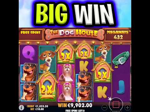 THIS IS THE BONUS U WANT 😱 THE DOG HOUSE MEGAWAYS SLOT MEGA BIG WINS‼️ #shorts