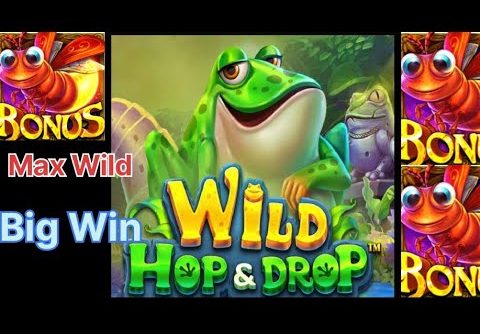 New Wild Hop & Drop || Biggest Win New Slot Game || Indan Slot || Full Screen 🎰🎰 money 🤑💰💳🏧