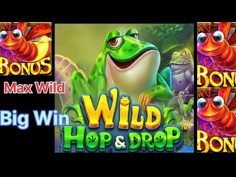 New Wild Hop & Drop || Biggest Win New Slot Game || Indan Slot || Full Screen 🎰🎰 money 🤑💰💳🏧