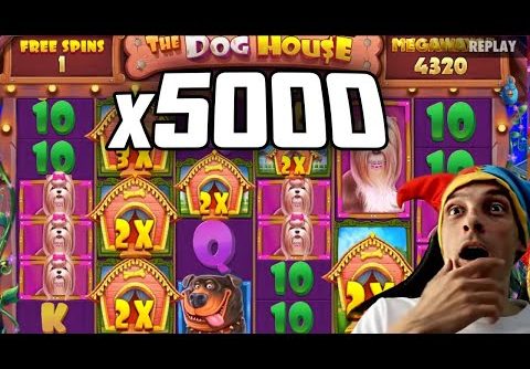 REDCORD x5000 DOG HOUSE MEGAWAYS WIN 🔥 Community Slots Biggest Wins