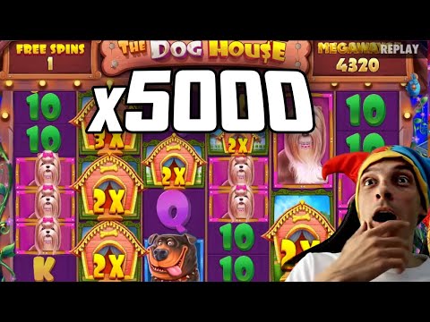 REDCORD x5000 DOG HOUSE MEGAWAYS WIN 🔥 Community Slots Biggest Wins