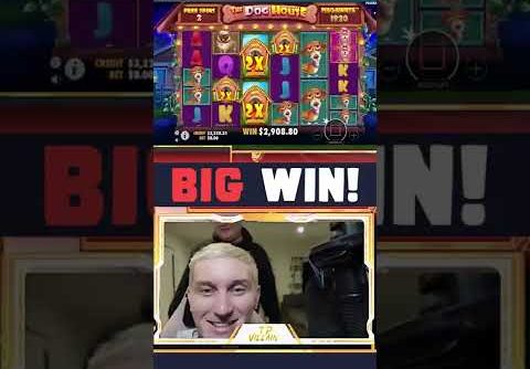 1253X on DOG HOUSE MEGAWAYS Slot by tpvillain! Big win casino