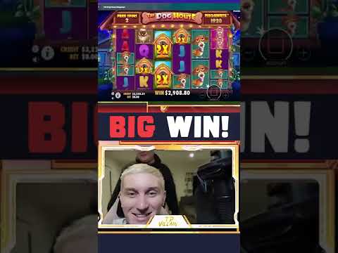 1253X on DOG HOUSE MEGAWAYS Slot by tpvillain! Big win casino