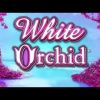 White Orchid Slots Machine – Big Win