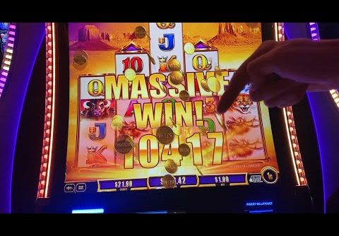 Insane Luck on Buffalo Gold: Watch Us Hit Our BIGGEST SLOT WIN YET!