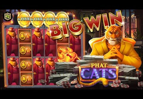 My MAX WIN 🔥 In The New Slot 🔥 Phat Cats Megaways – Online Slot Big Win – Kalamba Games