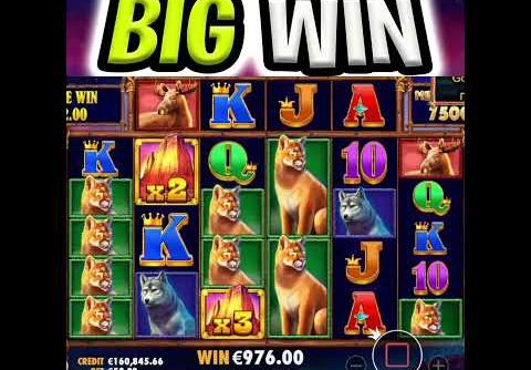 U HAVE TO SEE THIS 😱 MEGA BIG WIN BUFFALO KING MEGAWAYS SLOT MAX BET OMG‼️ #shorts