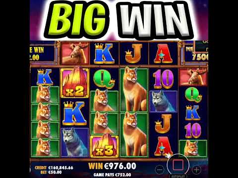 U HAVE TO SEE THIS 😱 MEGA BIG WIN BUFFALO KING MEGAWAYS SLOT MAX BET OMG‼️ #shorts