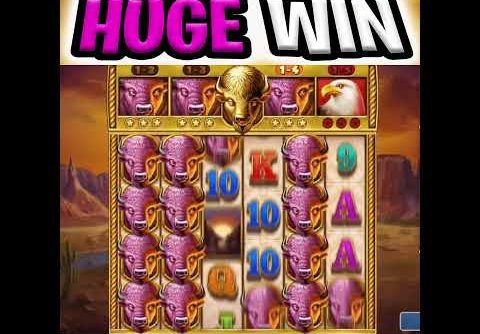 U MUST SEE THIS 😱 SUPER  BIG WIN 🔥 BUFFALO TORO SLOT OMG‼️ #shorts