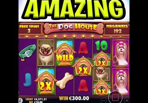 THE PERFECT DOG HOUSE MEGAWAYS SLOT 😱 MEGA BIG WIN BONUS OMG MUST SEE‼️ #shorts