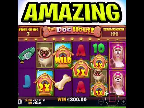 THE PERFECT DOG HOUSE MEGAWAYS SLOT 😱 MEGA BIG WIN BONUS OMG MUST SEE‼️ #shorts