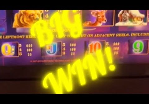 Timberwolf Deluxe BIG WIN! Slot Machine