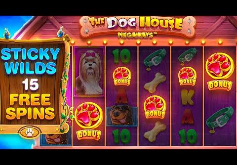 RARE 5 SCATTER BONUS On DOG HOUSE MEGAWAYS!! (CRAZY SESSION)