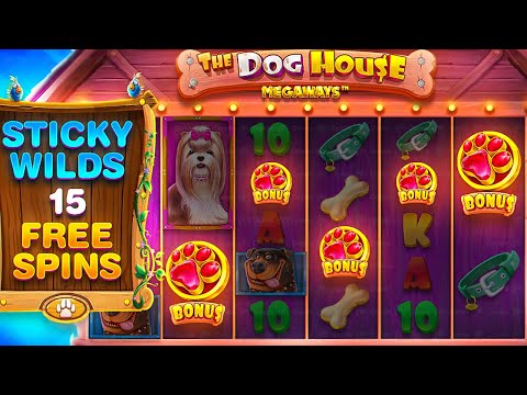 RARE 5 SCATTER BONUS On DOG HOUSE MEGAWAYS!! (CRAZY SESSION)